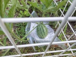 足助病院コラム
