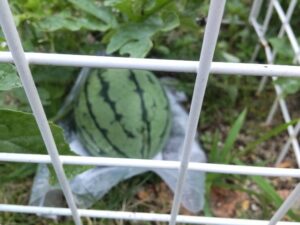 足助病院コラム
