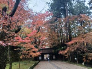 足助病院コラム