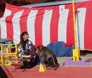 足助病院コラム