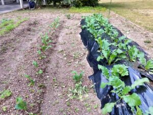 足助病院コラム