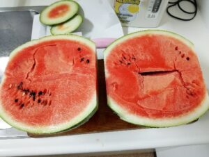 足助病院コラム