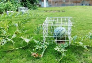 足助病院コラム