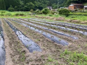 足助病院コラム